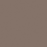 Напольная плитка Casalgrande Padana Unicolore Technic Naturale Grigio Cenere 9